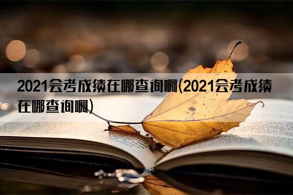 2021会考成绩在哪查询啊(2021会考成绩在哪查询啊)